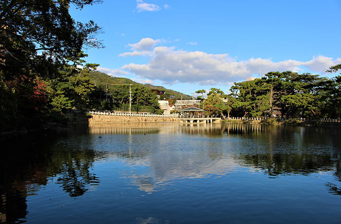 深田池公園 - チャームプレミア 御影 | 兵庫県神戸市東灘区の介護付有料老人ホーム（介護施設）