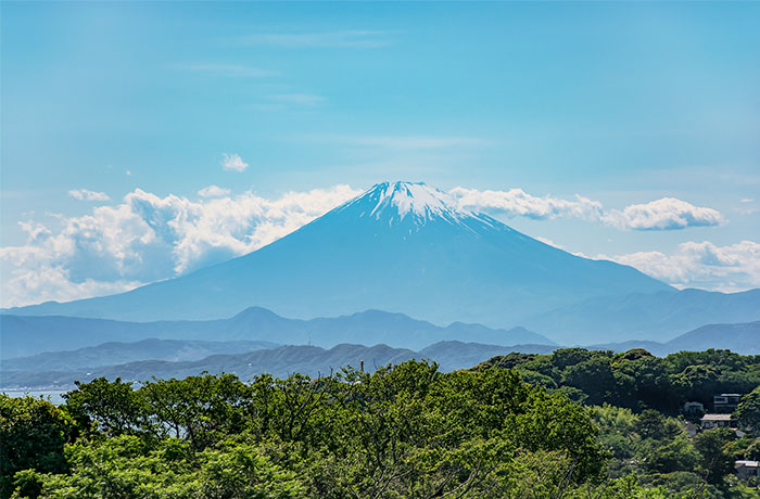 鎌倉広町緑地 - チャームプレミア 鎌倉山 | 神奈川県鎌倉市の介護付有料老人ホーム（介護施設）