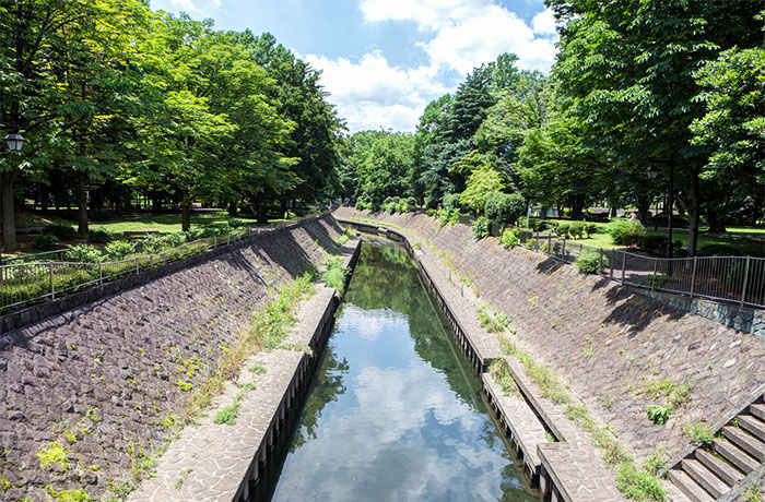 和田掘公園 - チャームプレミア 永福 | 東京都杉並区の介護付有料老人ホーム（介護施設）