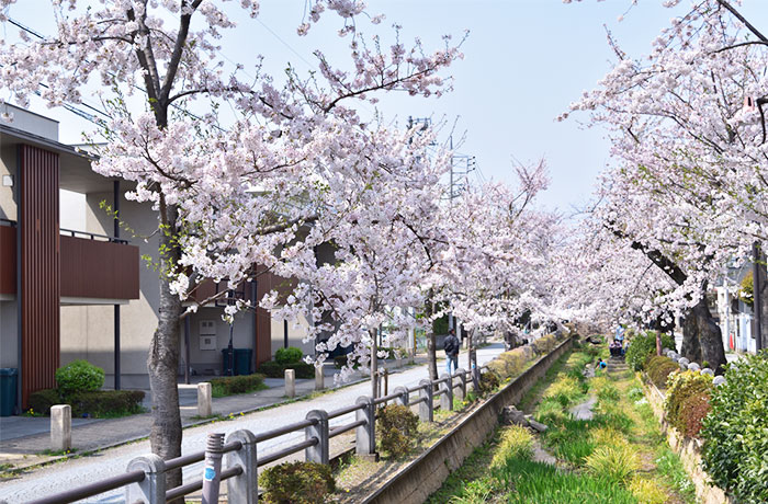 呑川緑道 - チャームプレミア 深沢 | 東京都世田谷区の介護付有料老人ホーム（介護施設）