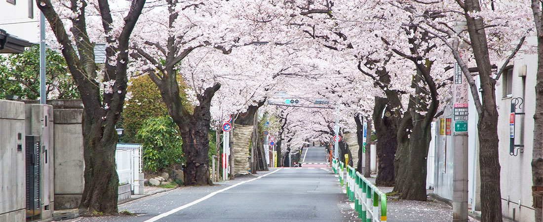 駒沢オリンピック公園、呑川緑道もほど近く文化と自然あふれる深沢 - チャームプレミア 深沢 | 東京都世田谷区の介護付有料老人ホーム(介護施設)