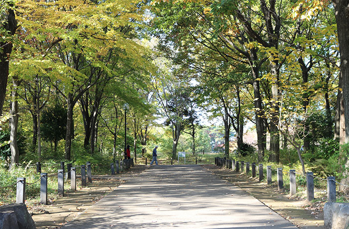 柏の宮公園 - チャームプレミア 浜田山 | 東京都杉並区の介護付有料老人ホーム（介護施設）