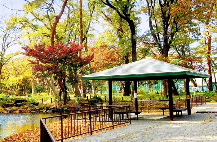 塚山公園 - チャームプレミア 浜田山 | 東京都杉並区の介護付有料老人ホーム（介護施設）