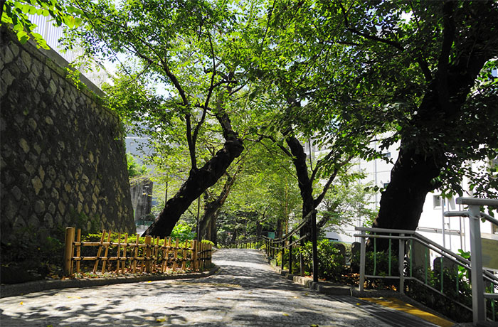 五反田公園 - チャームプレミア グラン 御殿山弐番館 | 東京都品川区の介護付有料老人ホーム（介護施設）