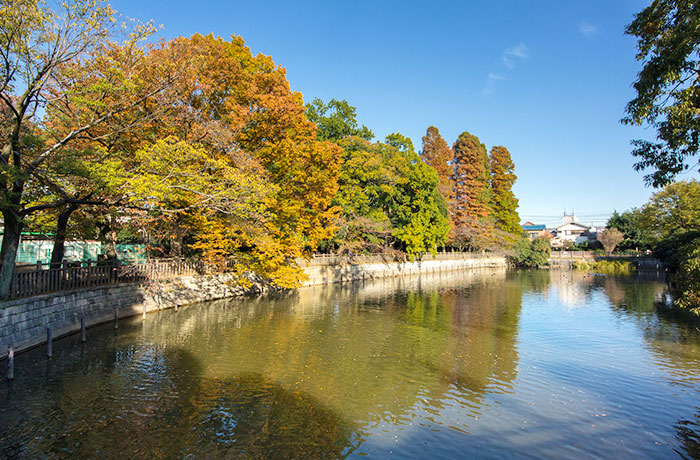 碑文谷公園 - チャームプレミア 柿の木坂 | 東京都目黒区の介護付有料老人ホーム（介護施設）