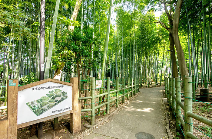 すずめのお宿緑地公園 - チャームプレミア 柿の木坂 | 東京都目黒区の介護付有料老人ホーム（介護施設）