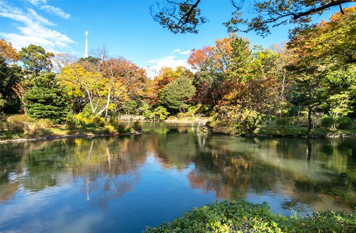 有栖川宮記念公園 - チャームプレミア グラン 南麻布 | 東京都港区の介護付有料老人ホーム（介護施設）