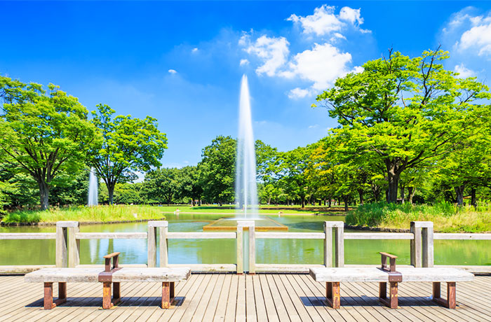 代々木公園 - チャームプレミア グラン 松濤 | 東京都渋谷区の介護付有料老人ホーム（介護施設）