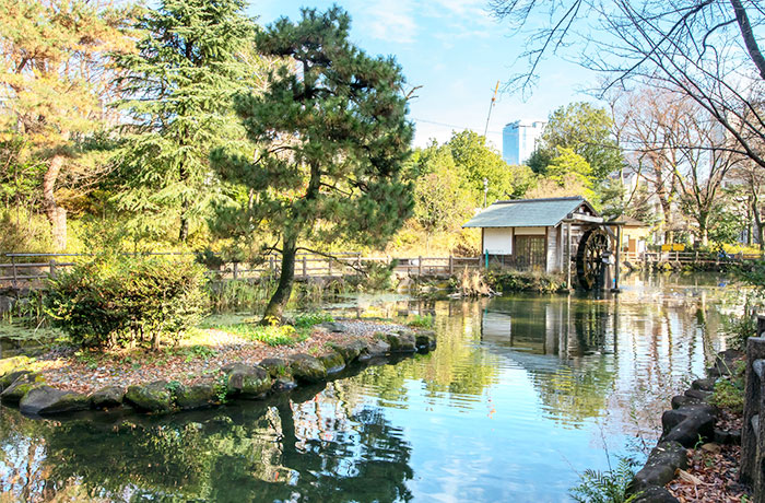 鍋島松濤公園 - チャームプレミア グラン 松濤 | 東京都渋谷区の介護付有料老人ホーム（介護施設）